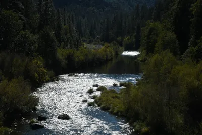 DSC_6469 (Large).JPG